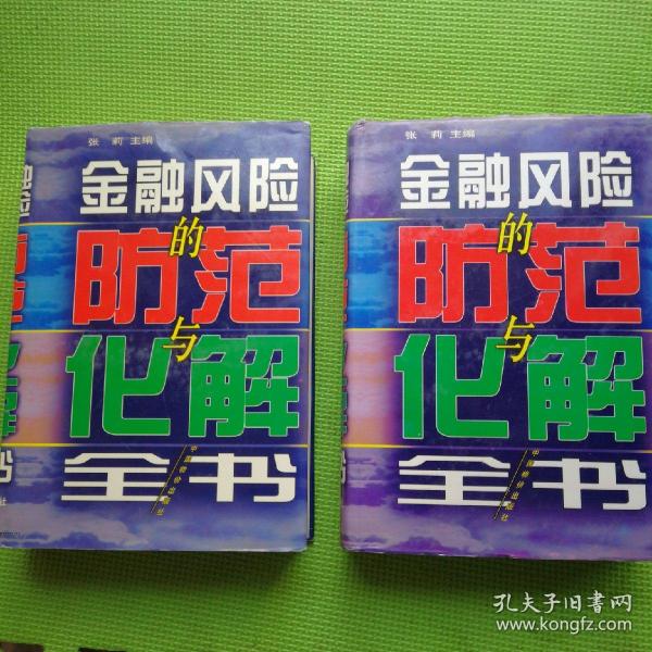 金融风险的防范与化解全书   上下册  巨厚