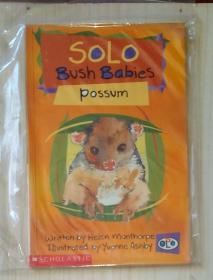 英文原版 Solo Bush Babies Possum