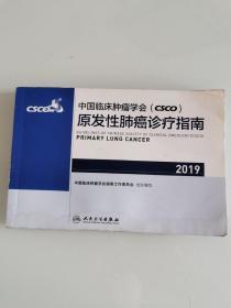 中国临床肿瘤学会(CSCO)原发性肺癌诊疗指南2019