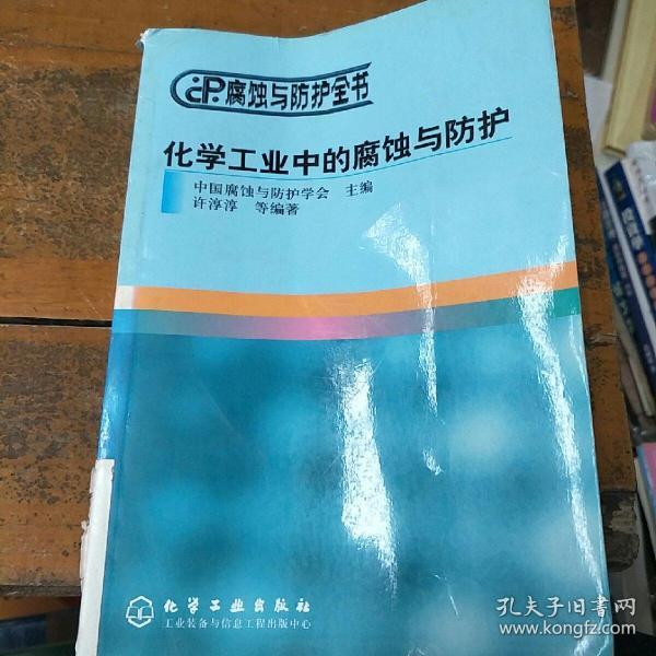 化学工业中的腐蚀与防护——腐蚀与防护全书