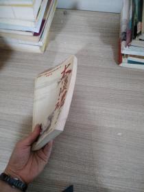 大漠魂:台湾第十八届联合报文学奖中篇小说首奖作品