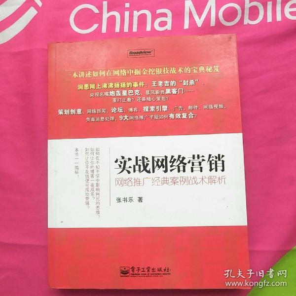 实战网络营销：网络推广经典案例战术解析