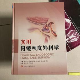 实用内镜颅底外科学