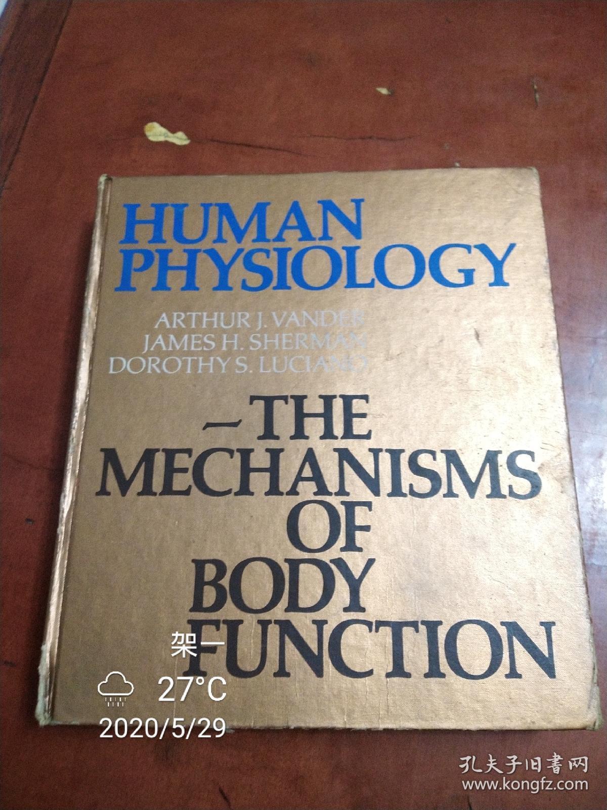 human physiolgy