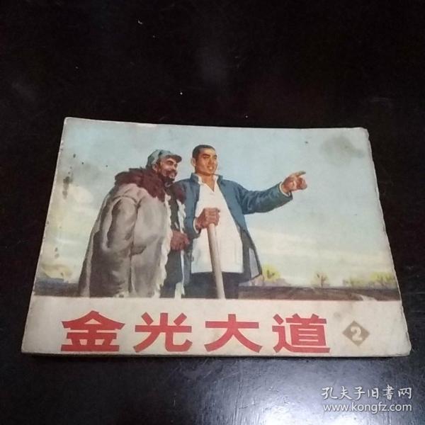 金光大道2