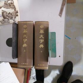 中华大字典（缩印本，上下），影印