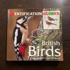 British Birds Identification Guide