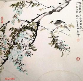 杜峰绘画作品    花鸟