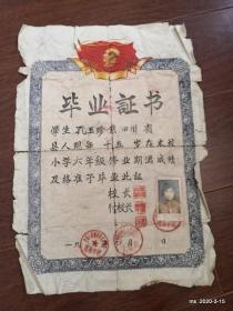 1962年太原育英学校毕业证校长 王佩选