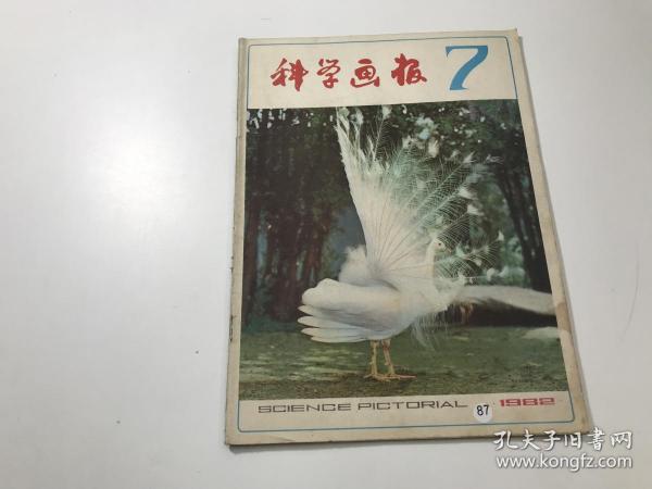 科学画报 1982年第7期