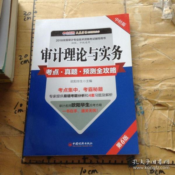 审计理论与实务考点 真题 预测全攻略