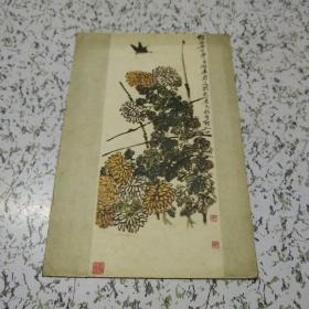 《1956年齐白石作  菊花蝴蝶》老画片一张   具体看图