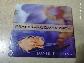 现货 US未拆 David Darling - prayer H62