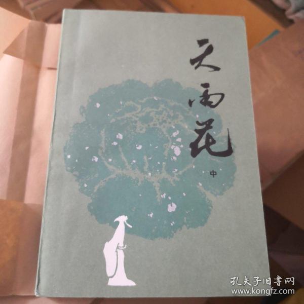 天雨花（上中下）