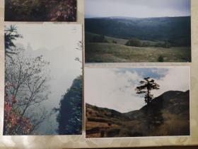 彩色照片：山间随景的彩色照片     共5张照片售       彩色照片箱2   00123