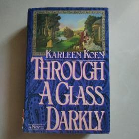 Through a Glass Darkly