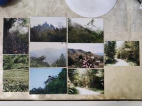 彩色照片：宜昌地区的山林景色 彩色照片     共9张照片售       彩色照片箱2   00120