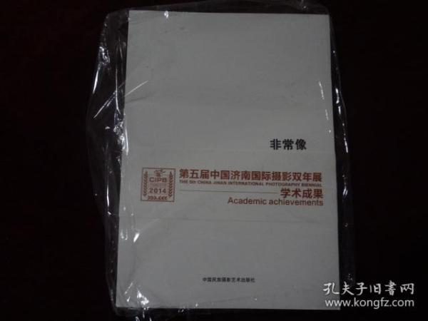 第五届中国济南国际摄影双年展学术成果：非常像