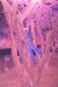 【135老底片】（40460）淘气的小男孩：3张（1+2）