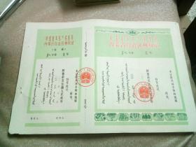 80年代内蒙古自治区林权证（汉、蒙2种文字）阿鲁科尔沁旗人民政府特发，没有使用