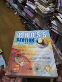 CROSS SECYION a review of all pgmee