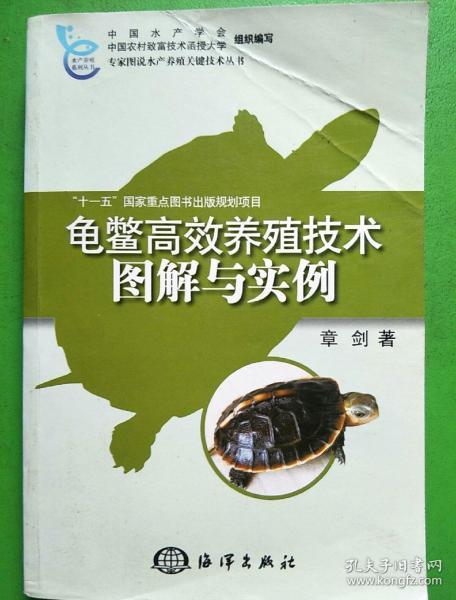 龟鳖高效养殖技术图解与实例