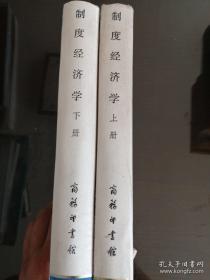 制度经济学（上、下册全）（大32开白色封面硬精装）