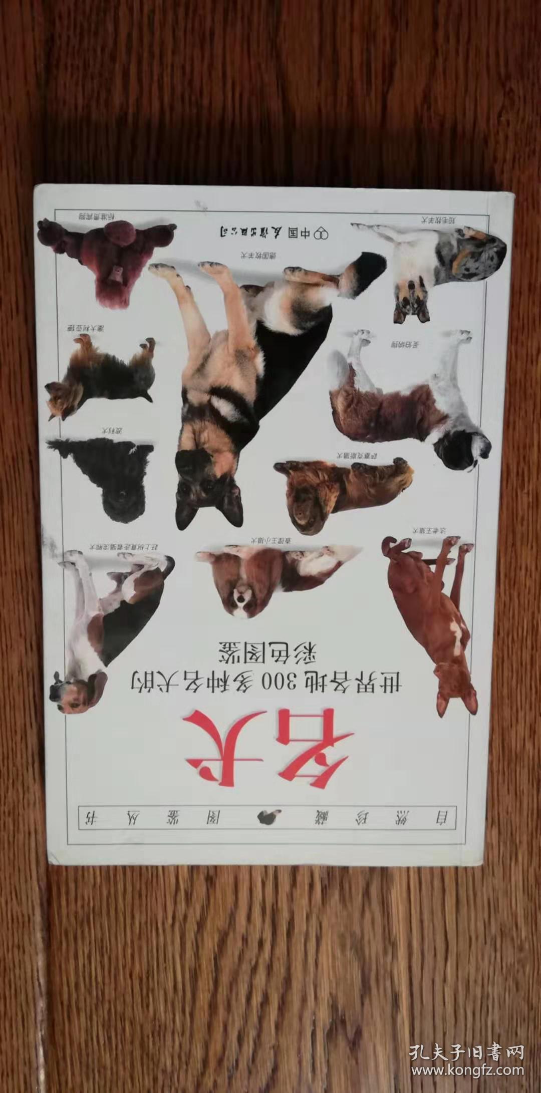 名犬（世界各地300多种名犬的彩色图鉴）