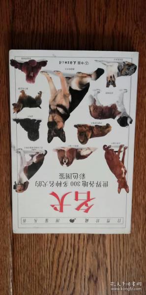 名犬（世界各地300多种名犬的彩色图鉴）