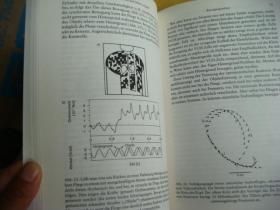 Die Entdeckung der Intelligenz oder Konnen Ameisen denken? 德文原版 插图本 布面精装+书衣 16开 保存近全新 内容好