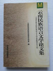云南民族语言文学论文集（一版一印）*已消毒