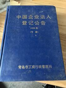 中国企业法人登记公告1989下
