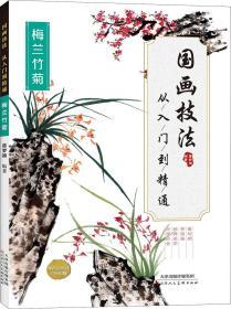 国画技法从入门到精通（梅兰竹菊）