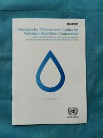 PRINCIPLES FOR EFFECTIVE JOINT BODIES FOR TRANSBOUNDARY WATER COOPERATION