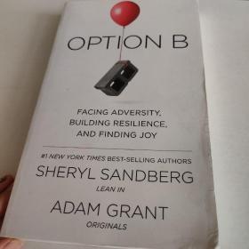 Option B: Facing Adversity, Building Resilience, and Finding Joy:原版英文书