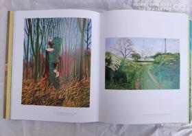 david hockney current 大卫霍克尼画册 英文 油画画册 正版