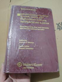 Global Labor Employment Law for the Practicing Lawyer 未拆封