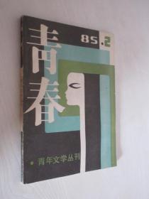 青春    1985年第2期