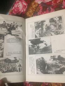 中国防化兵历史传奇（含化学武器发展及防护）