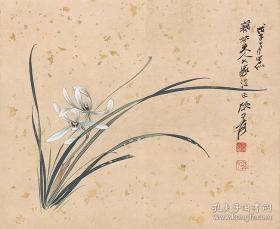 近现代 张大千 兰花 42x34cm 纸本 名画复制