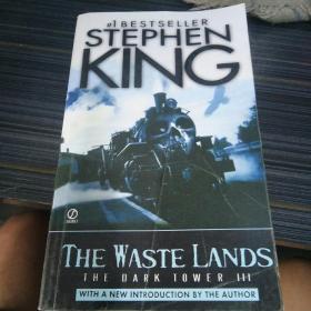 The Waste Lands (The Dark Tower, Book 3)