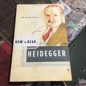 如何阅读海德格尔How to Read Heidegger 英文原版,
