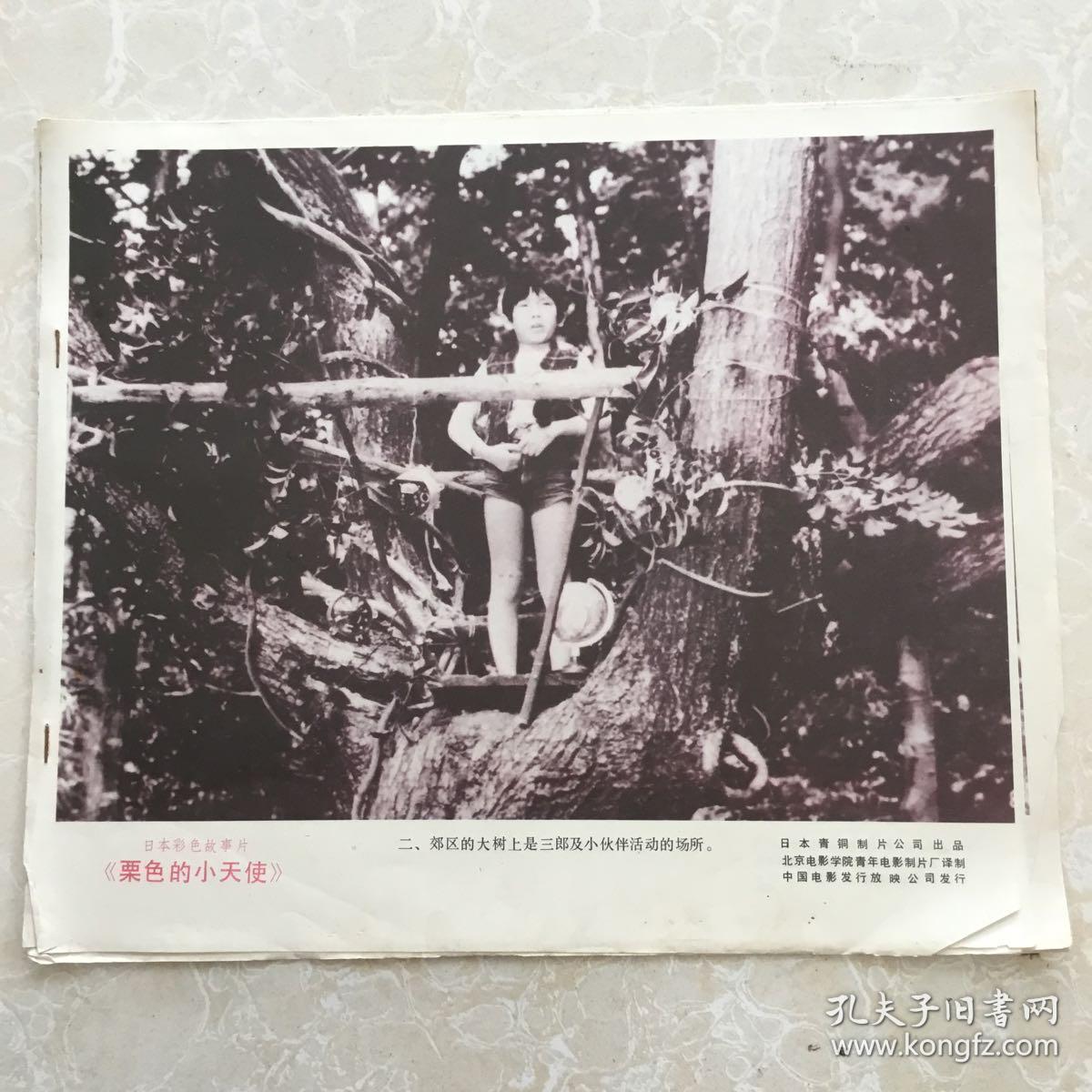 日本彩色故事片《栗色的小天使》电影海报剧情剧照(8张)