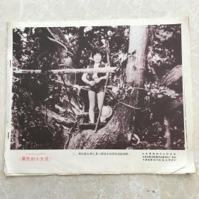 日本彩色故事片《栗色的小天使》电影海报剧情剧照(8张)