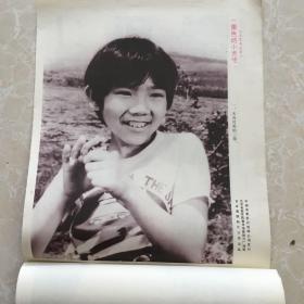 日本彩色故事片《栗色的小天使》电影海报剧情剧照(8张)