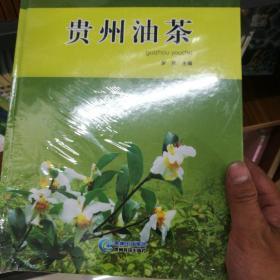 贵州油茶