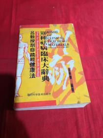 谷教授刮痧舒经健康法  300种去病临床大辞典