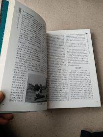 左手中国人右手日本人：洞察中国日本国民性的经典范本典藏插图本