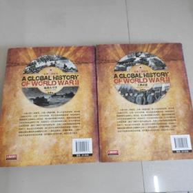 全景二战系列: 血战太平洋   王牌武器（2本合售）