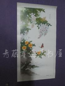 藤萝蝴蝶：画一张（王叔晖  作）尺寸：64.8x34